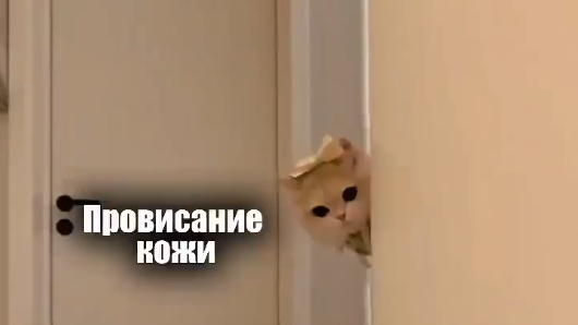 Второй подбородок, брыли, носогубные складки, опущение уголков глаз и губ - устранить это проблемы возможно с помощью смас лифтинга. 