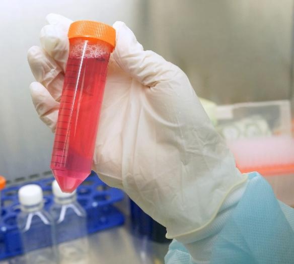 Биокрем из собственных клеток