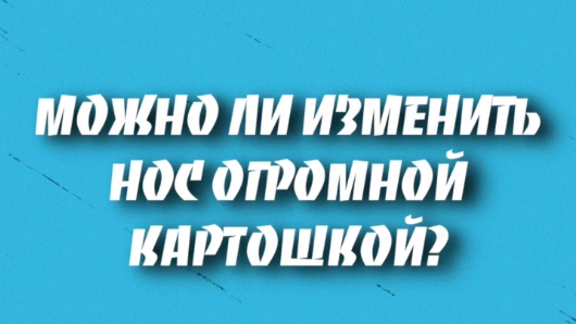 Можно ли изменить нос огромной картошкой