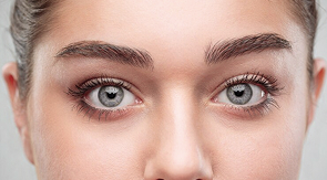 Носослезной борозды