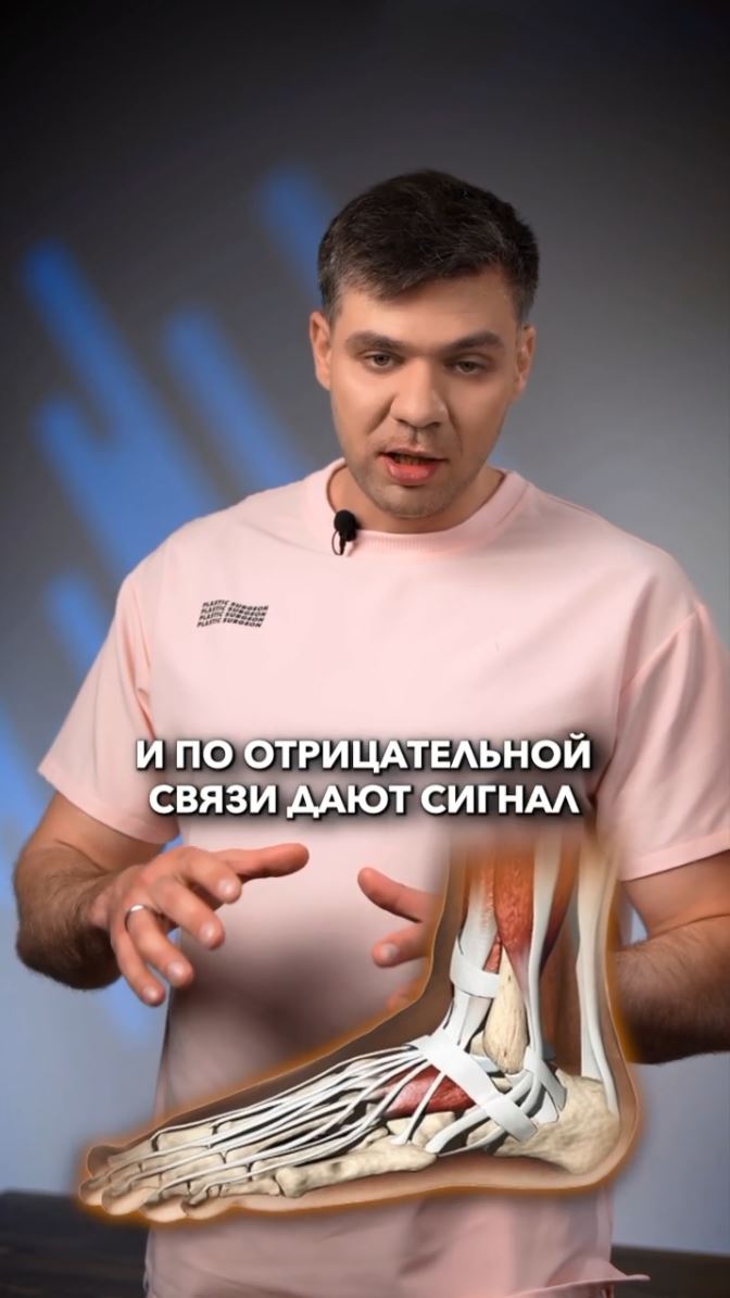 Кости как «весы»: новое открытие о регулировании аппетита и связи с сидячим образом жизни