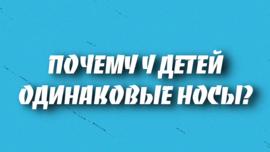 Почему у детей одинаковый нос