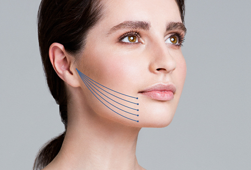 Нижней трети лица и брылей