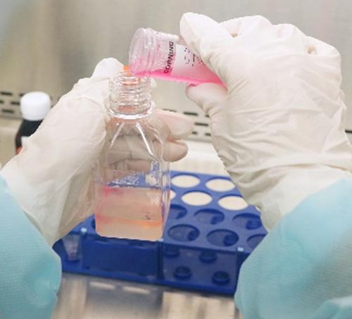 Биокрем из собственных клеток