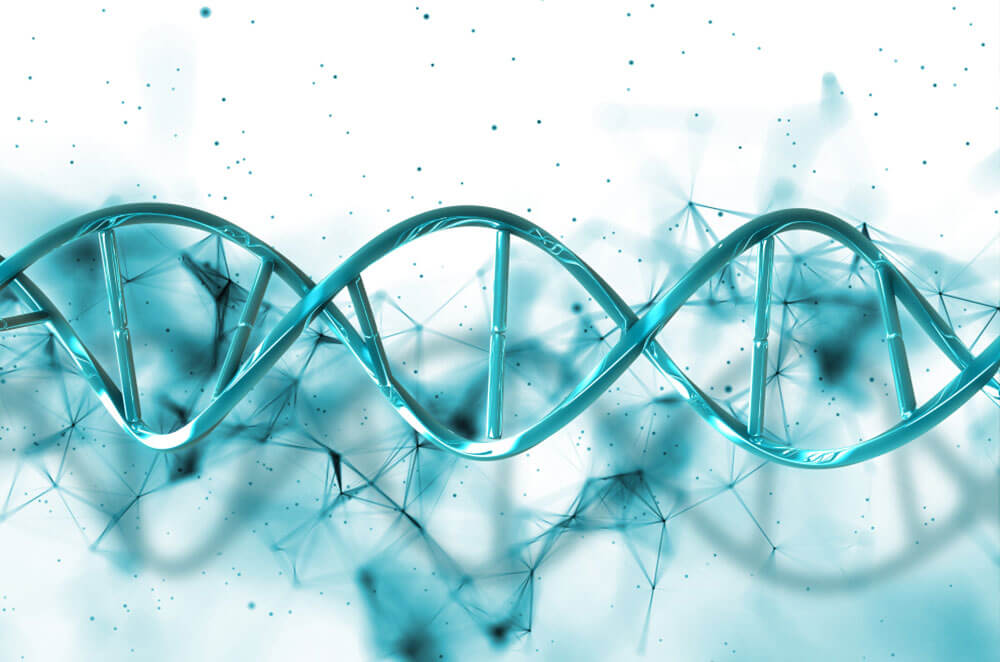 PDRN (ДНК-компонент)