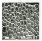 Как работает терапия?