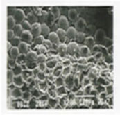 Как работает терапия?