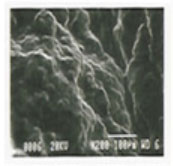 Как работает терапия?